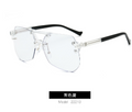 Adaptive Light Guard Glasses